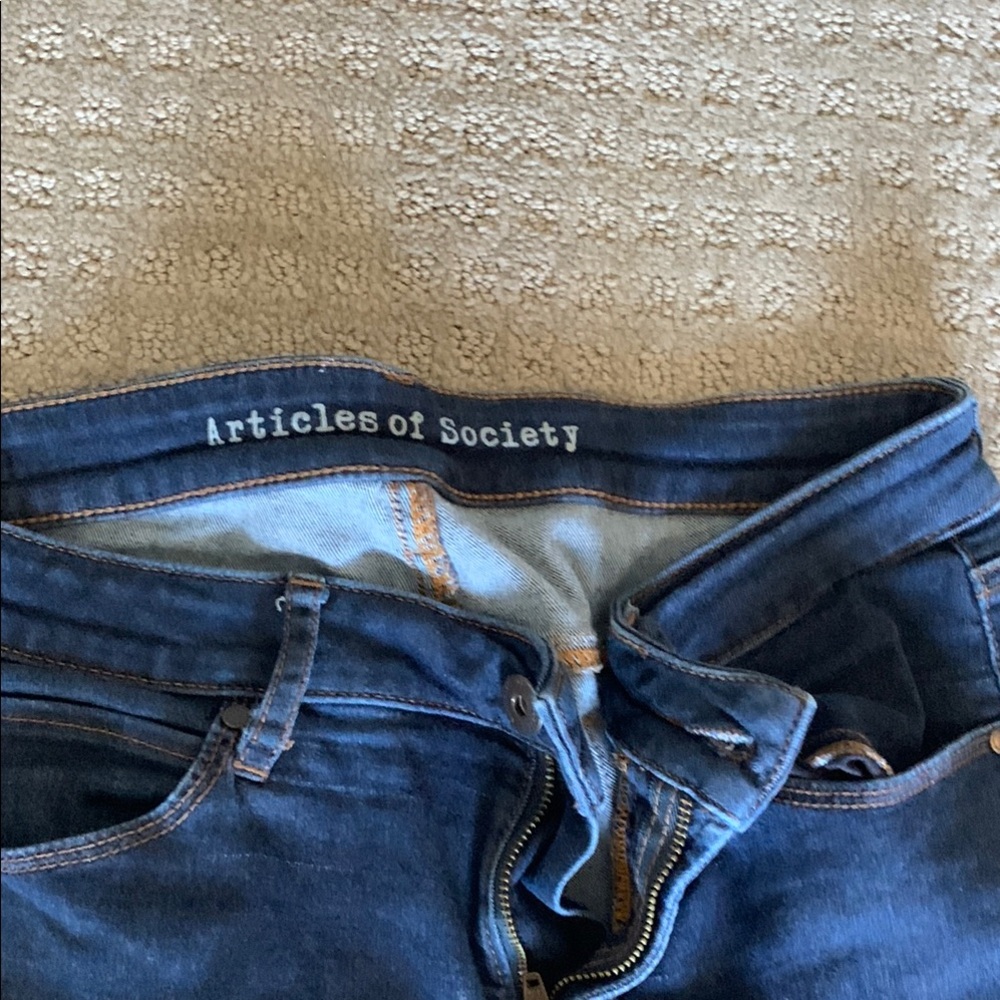 Articles of Society Women's Blue Jeans